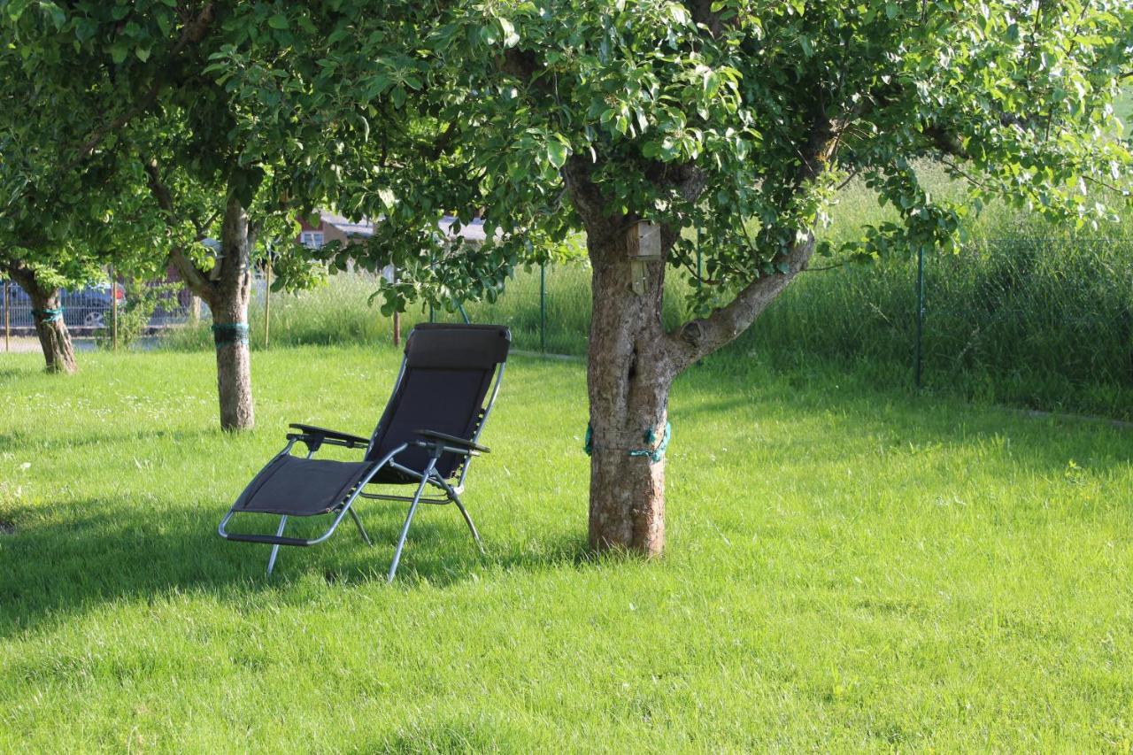 Ferienwohnung Am Kugelbaum Lunzenau Exterior photo